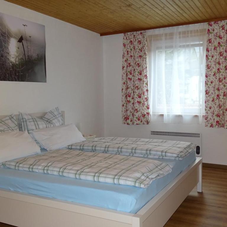 Ferienwohnung Karin Humer - Apartment mit Blick auf die Berge - 9