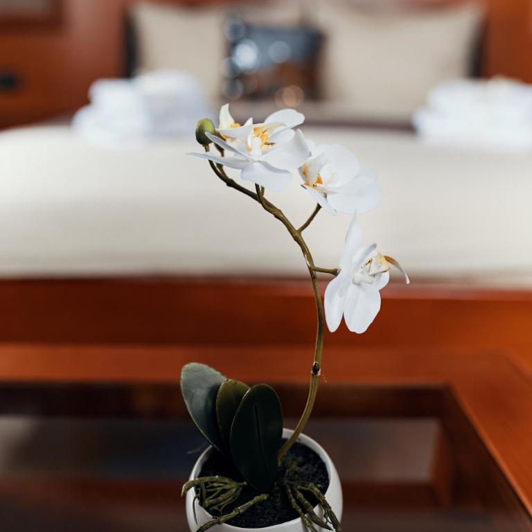 Lux apartmani Beograd - Deluks Apartman - 10