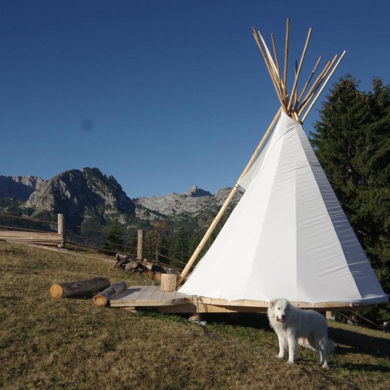 Guesthouse Planinarski dom Neviđen'o - Tent - 1