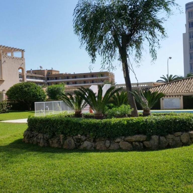 Erisa I - Apartamento - 32