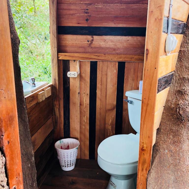 Eden Treehouse - Suite - 12