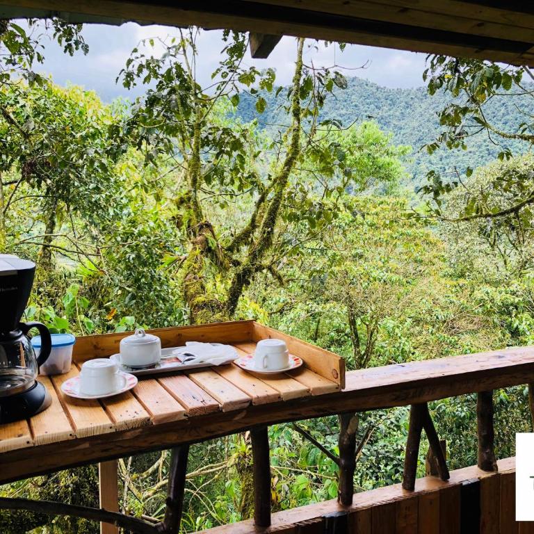 Eden Treehouse - Suite - 13