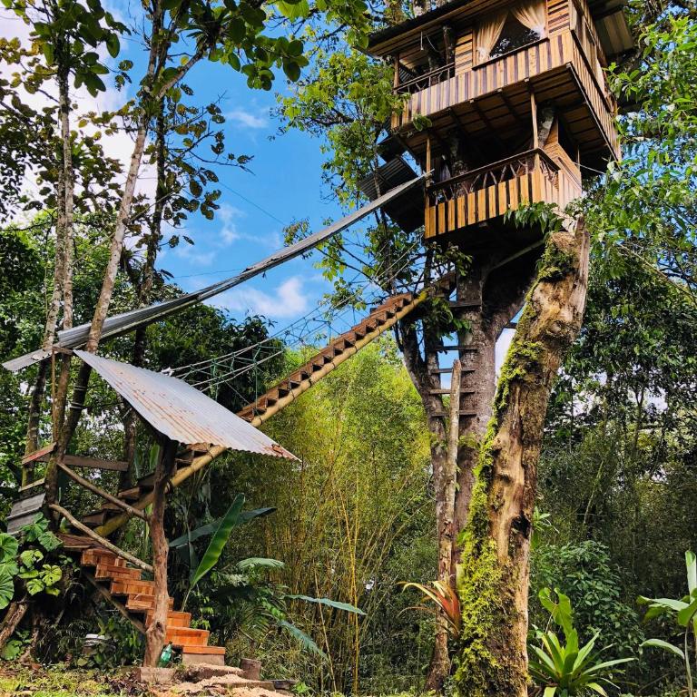 Eden Treehouse - Suite - 9