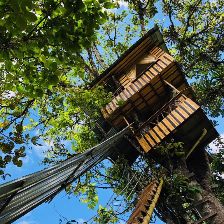 Eden Treehouse - Suite - 8