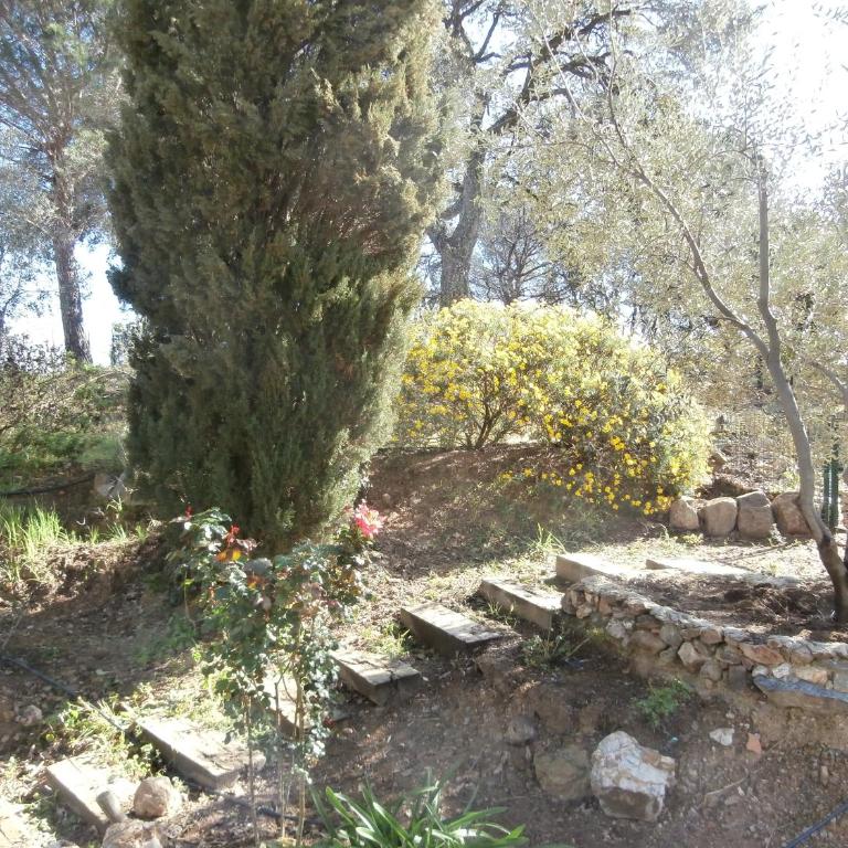 La Maison des Oliviers - Doppelzimmer mit Gartenblick - 14