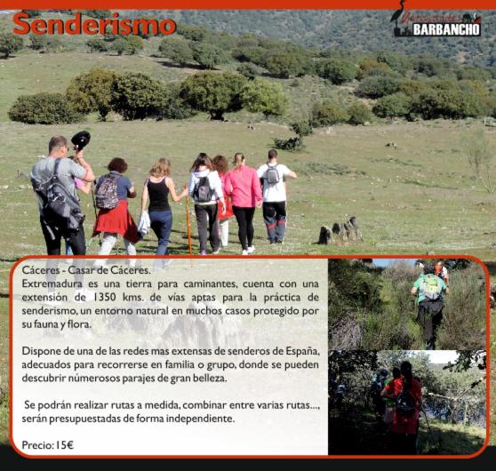 Apartamento Barbancho - Apartamento de 2 dormitorios - 5