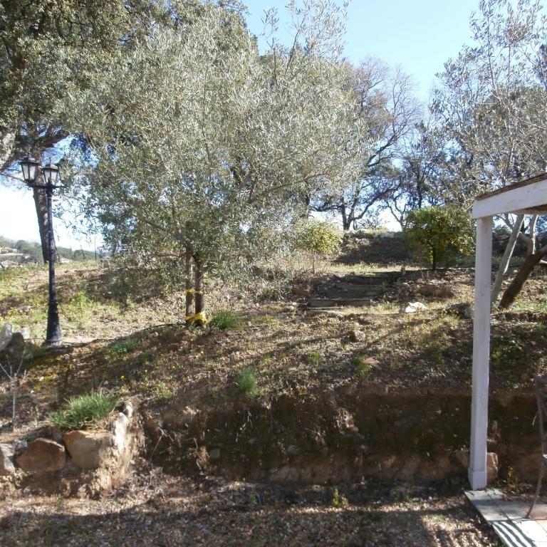 La Maison des Oliviers - Doppelzimmer mit Gartenblick - 11