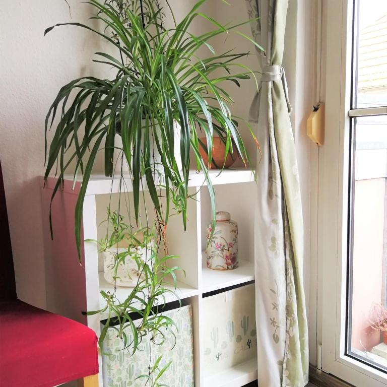Quiet City-Apt, 4min City-Center, 18min Fair Nürnberg!!! - Apartment with Balcony - 9