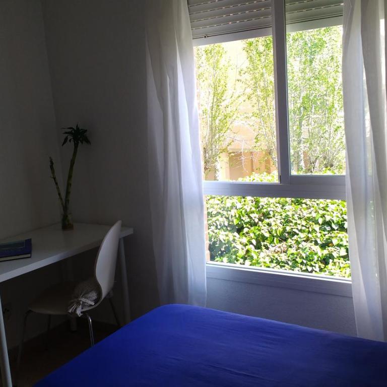 Apartment San Juan Beach Golf - One-Bedroom Apartment with Terrace - 17