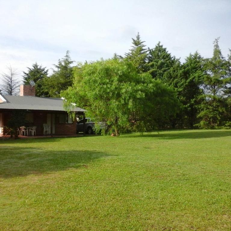 Cabañas Calicanto - Casa con 1 dormitorio - 7