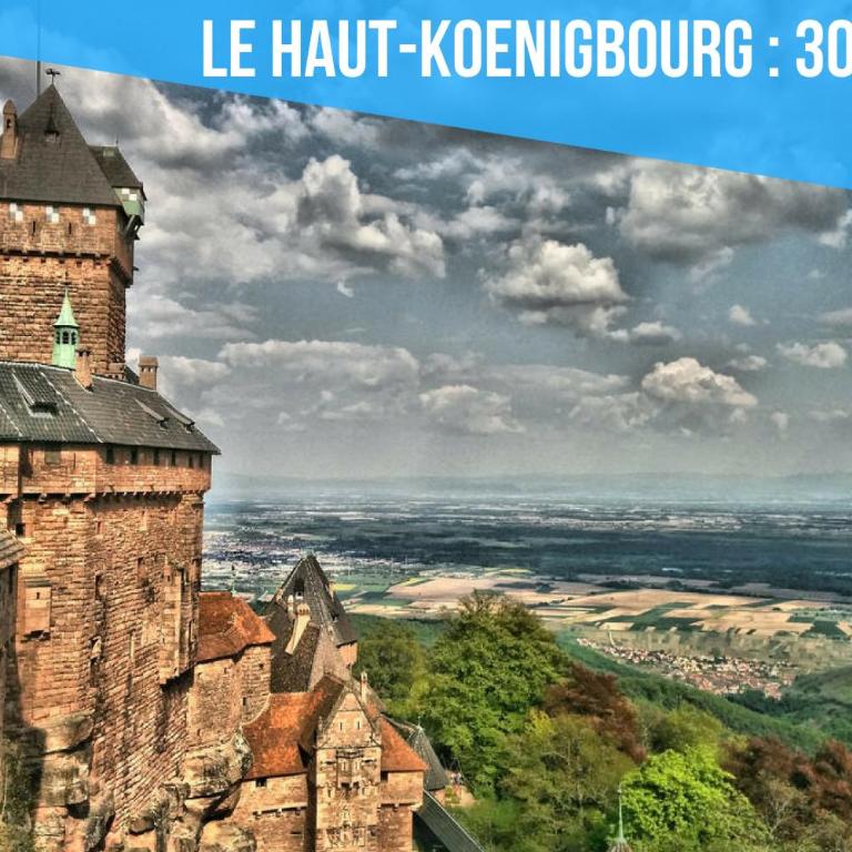 2 Charmants logements * CHARMANT GITE COLMAR * - Appartement 1 Chambre - 17