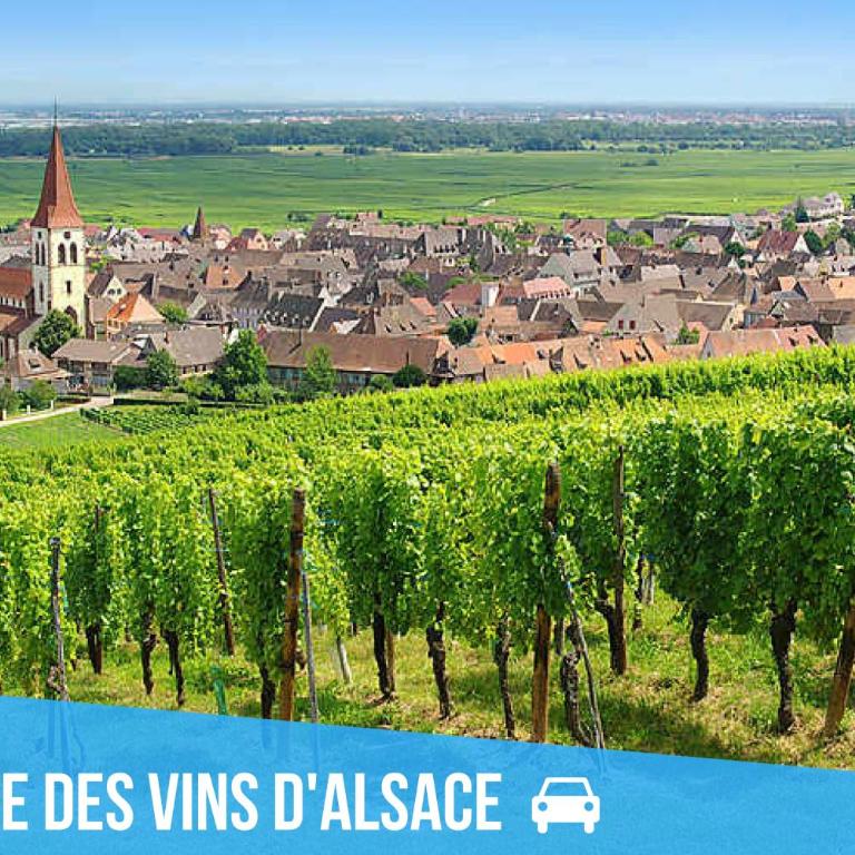 2 Charmants logements * CHARMANT GITE COLMAR * - Appartement 1 Chambre - 9