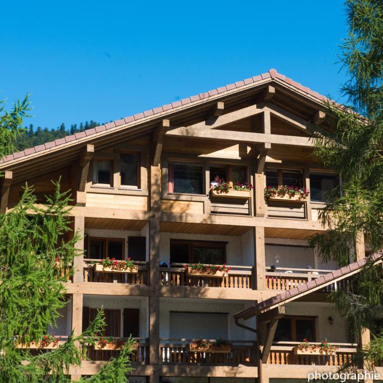 Le Couarôge Chalets et Appartements - Estudio Premium (3-4 personas) - 4