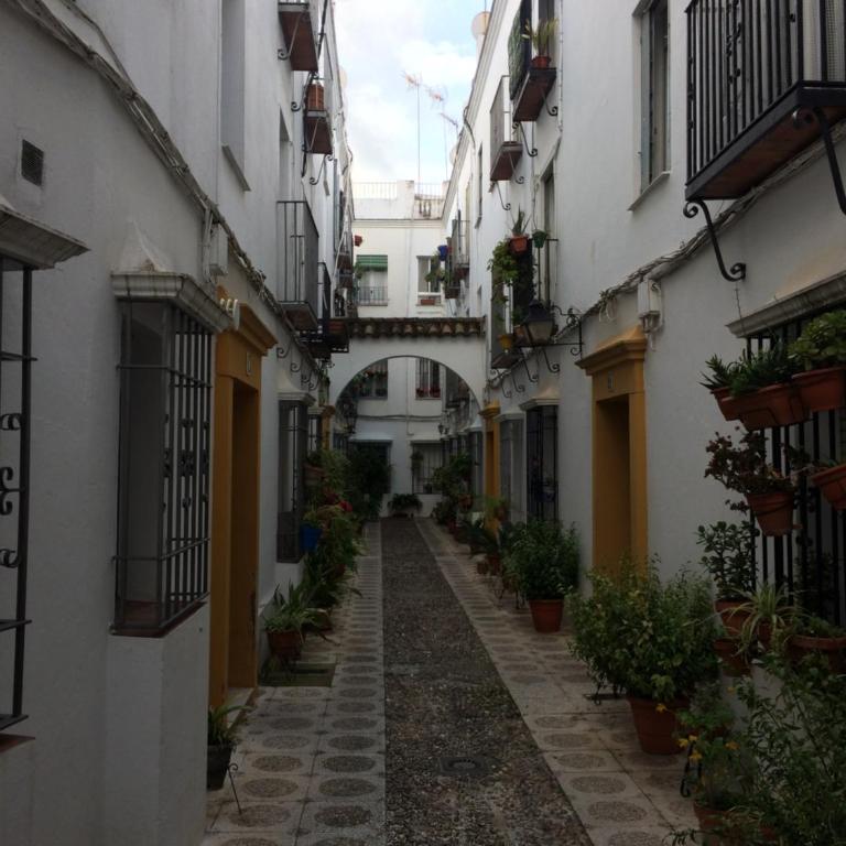 Lujosa vivienda en plena Judería - Apartamento - 50