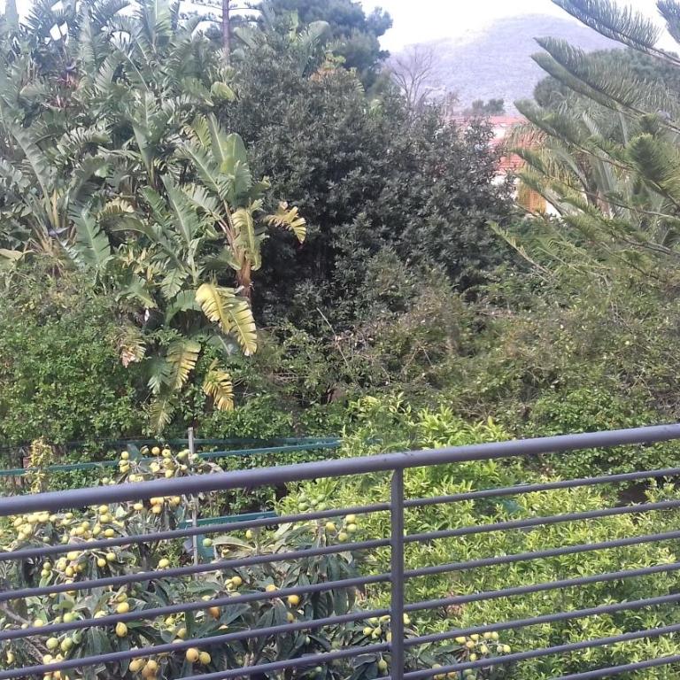 Principessa Jolanda - Casa Vacanze - 14