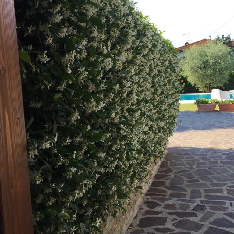 casa pietra del sole - Villa con Piscina Privata - 97