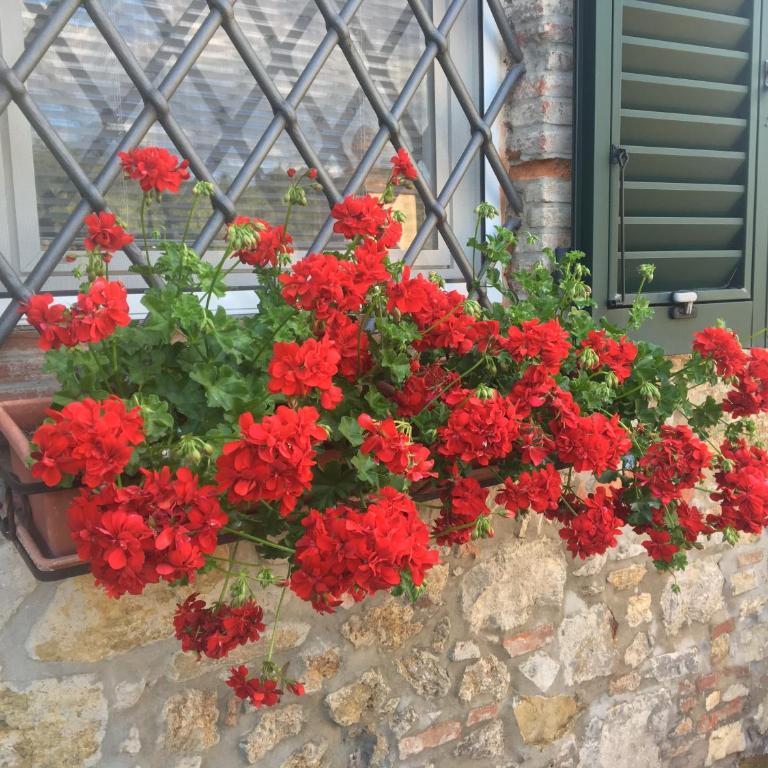 casa pietra del sole - Villa con Piscina Privata - 80