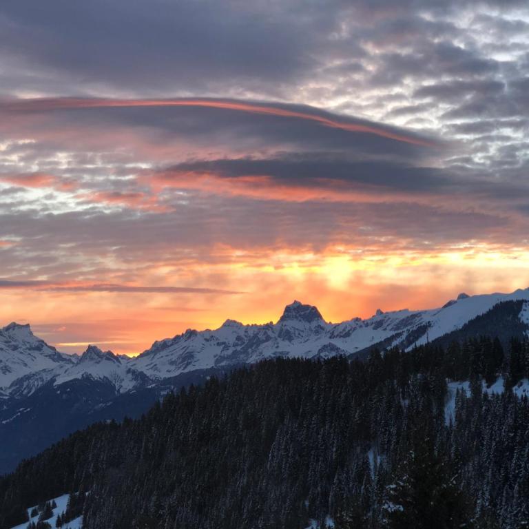 Chalet LYS Apartment 14 Rue Sigma - Apartment - 20