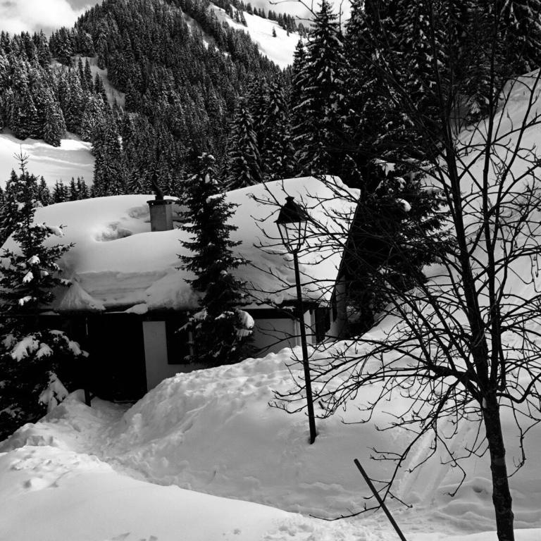 Chalet LYS Apartment 14 Rue Sigma - Apartment - 17