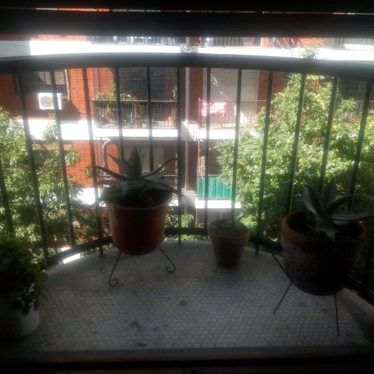 Mundo vita - Apartamento de 2 dormitorios - 55