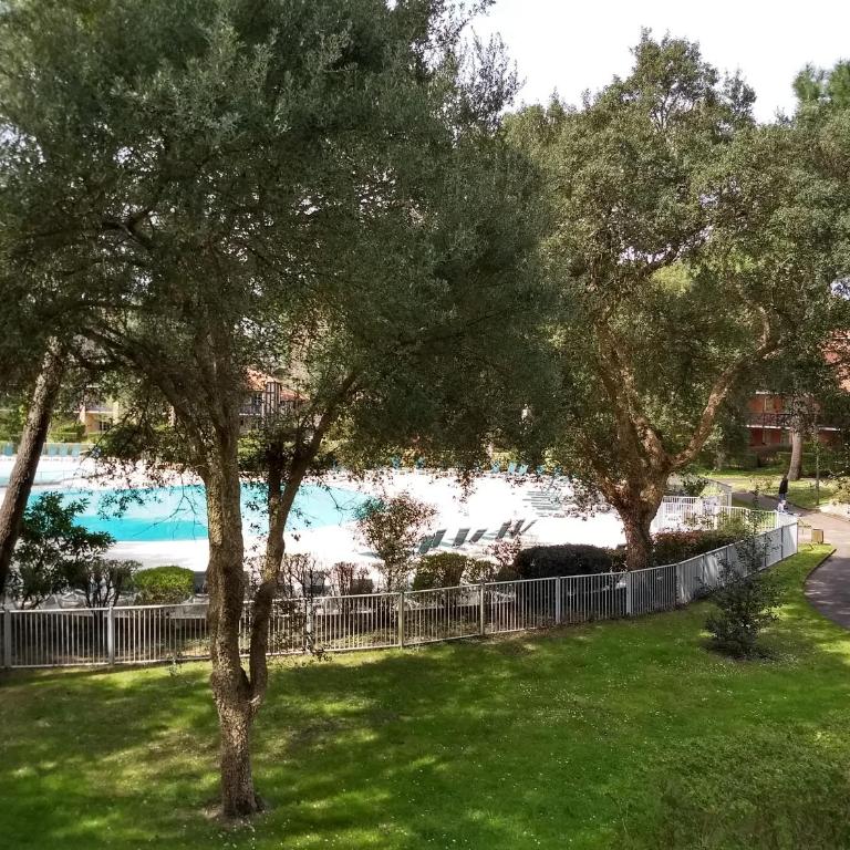 Albertine appt 112 - Appartement avec Terrasse - 33