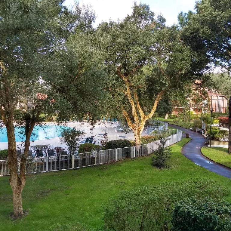 Albertine appt 112 - Appartement avec Terrasse - 30