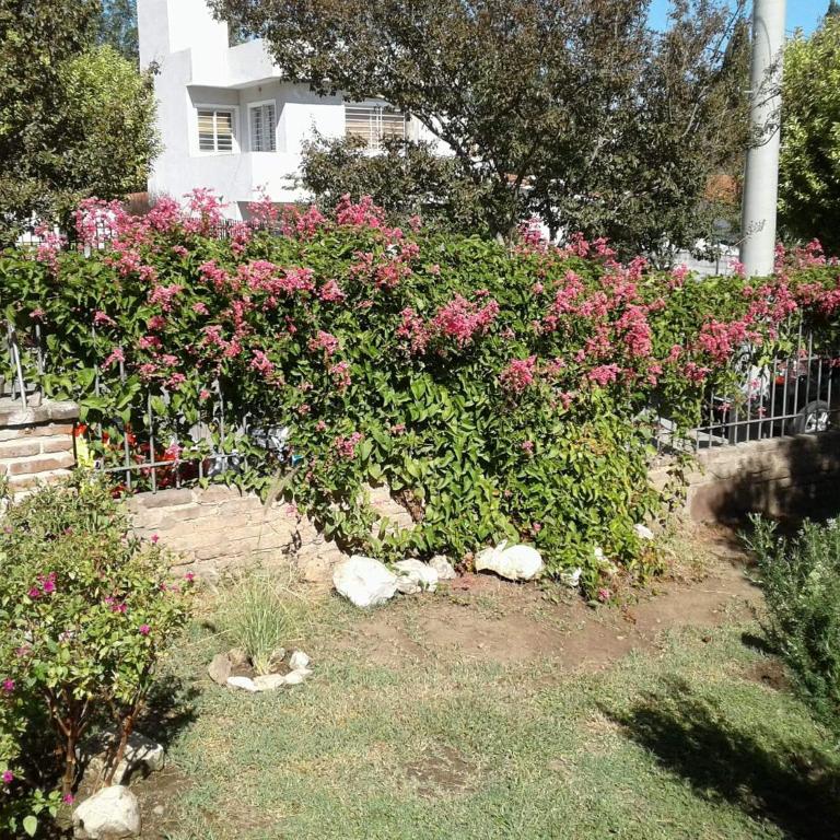 Casa de Silvia - Casa - 16
