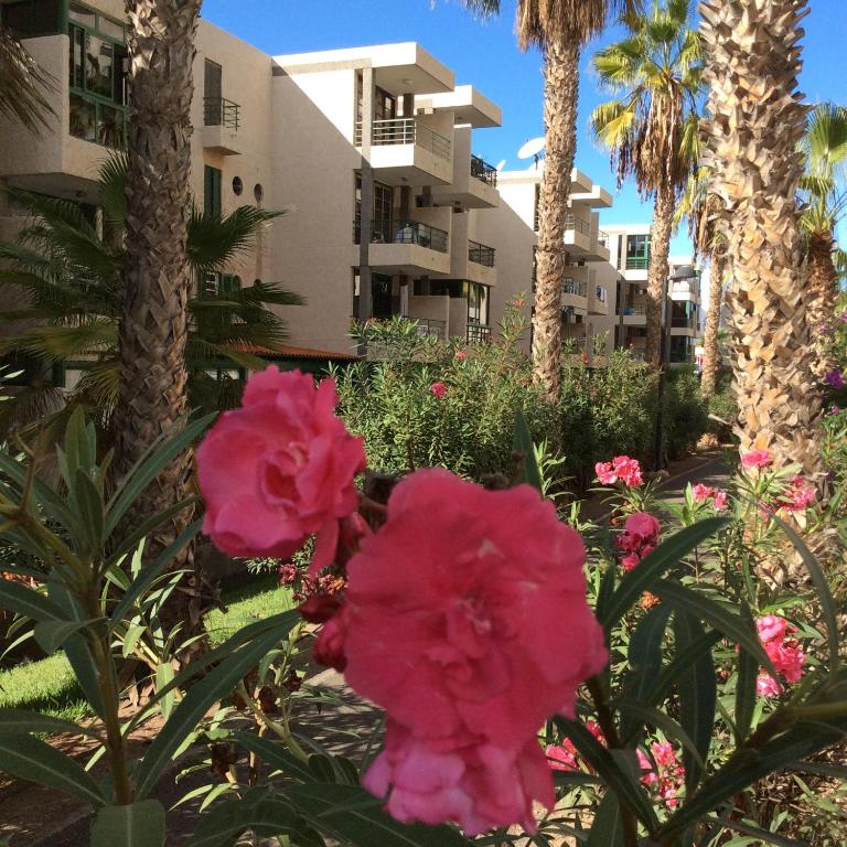 Las Viñas - Apartamento de 3 dormitorios - 3