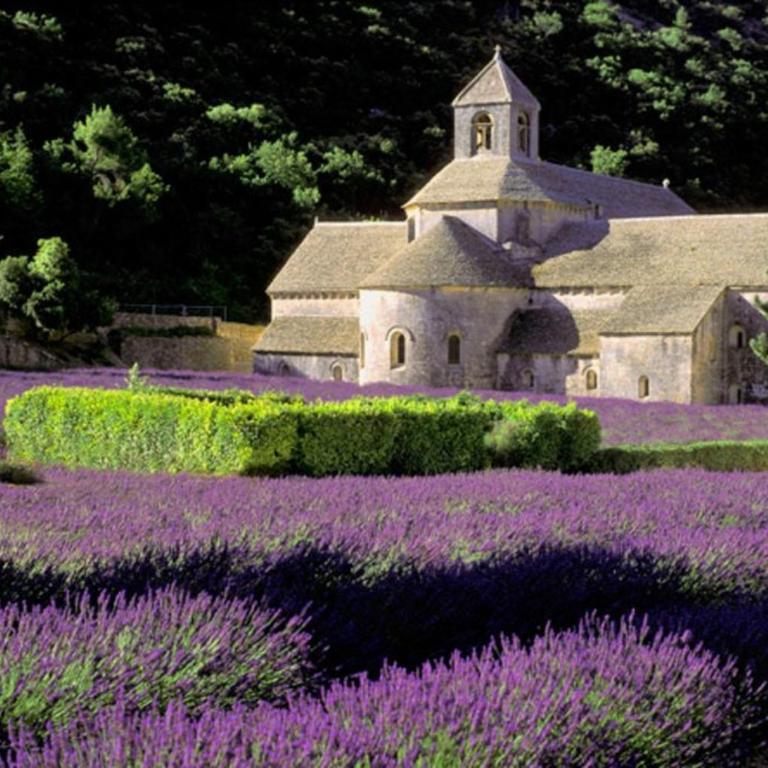 Au bastidon de Gordes - Maison de Vacances - 35