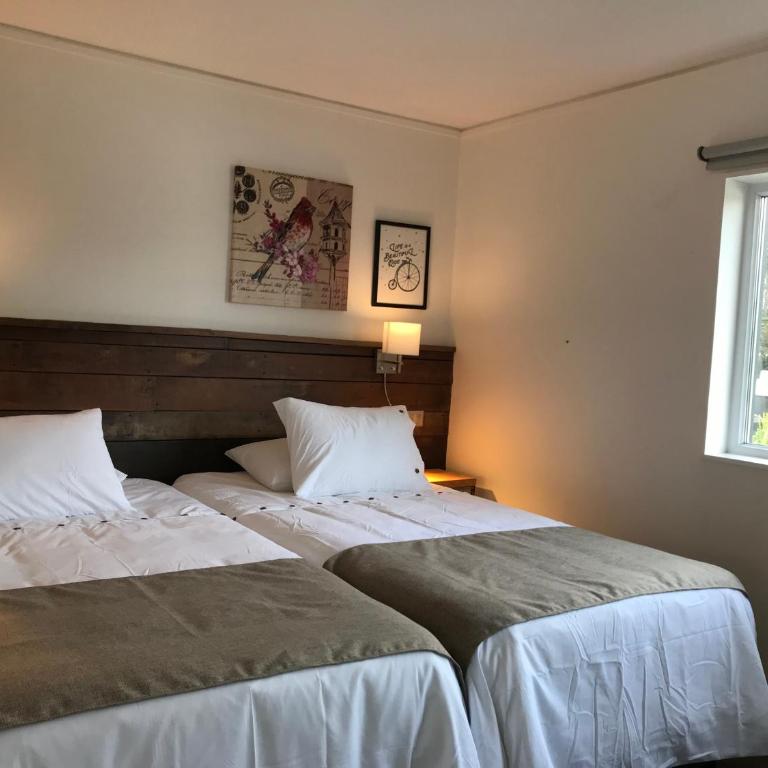 Fresia Suite - Suite - 5