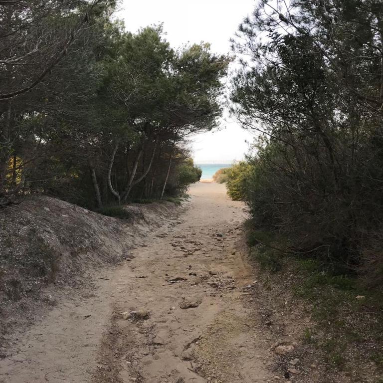 Attico In Riva al Mare - Appartamento con Vista Mare - 47