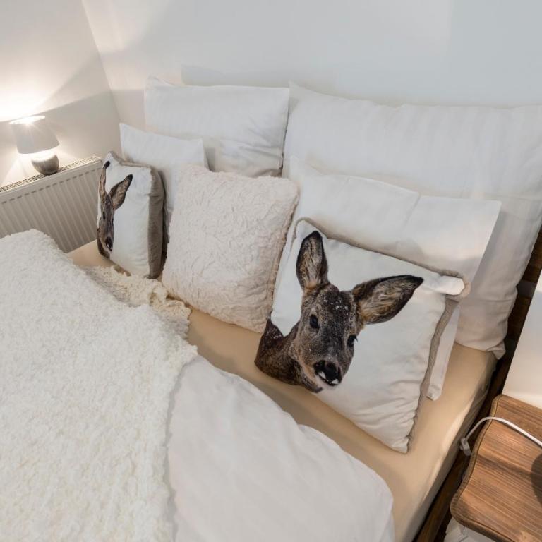 Apartments Hoferhaus - Your Austrian Home - Studio with Mountain View - 5