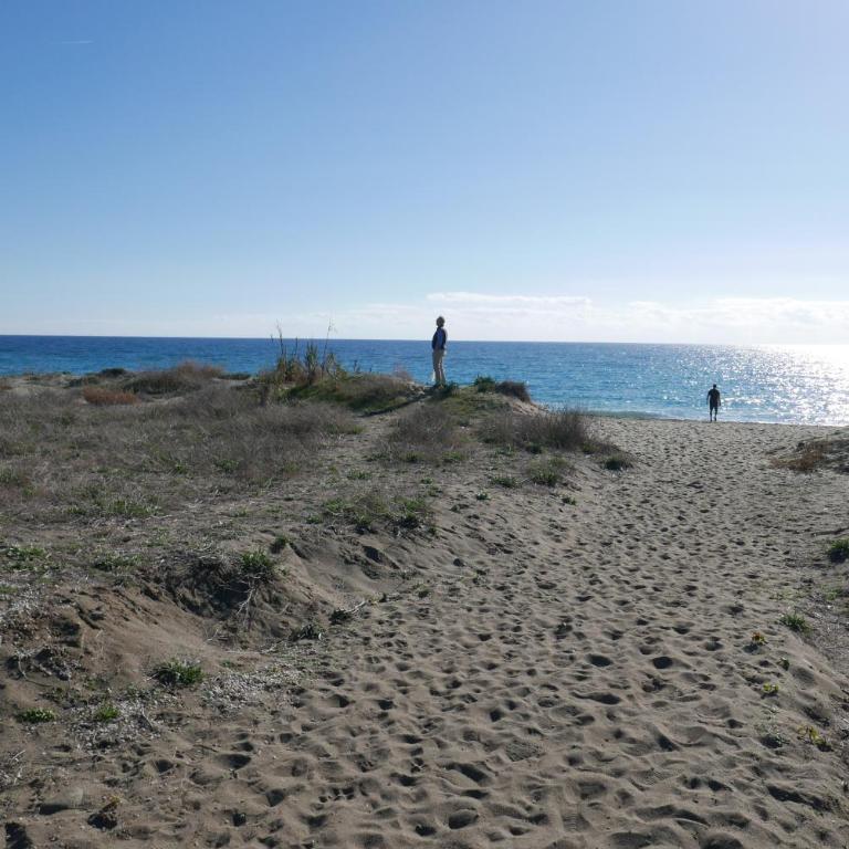 Costalita Seaview - Apartamento - 42
