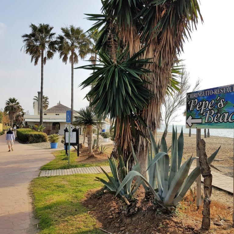 Costalita Seaview - Apartamento - 44