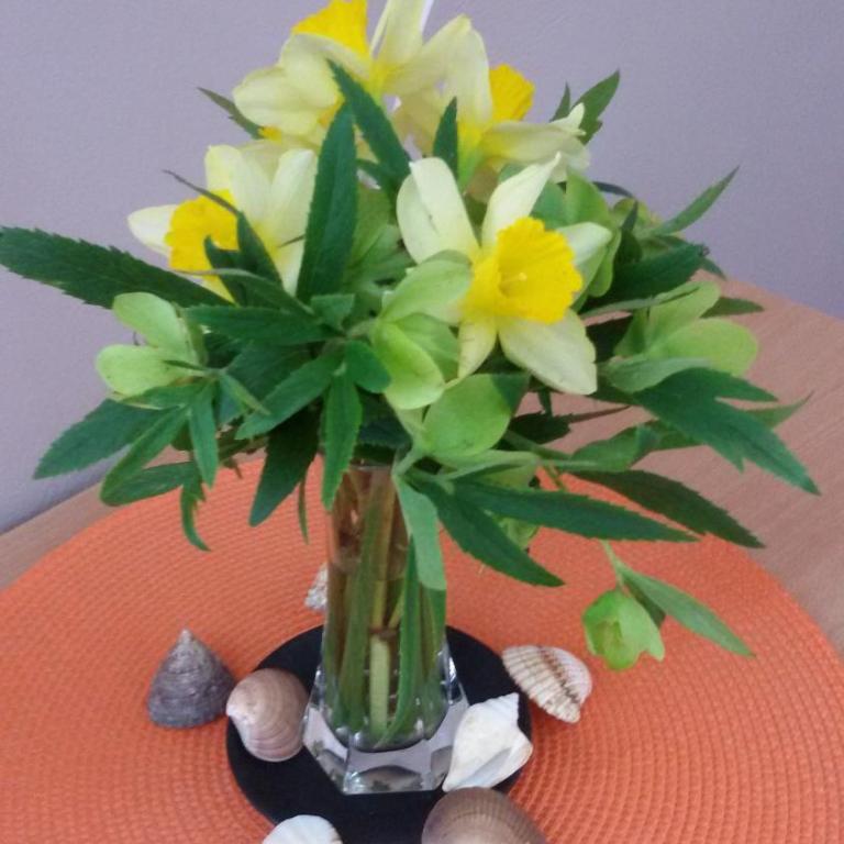 Apartmani RALE rooms - Studio - 15