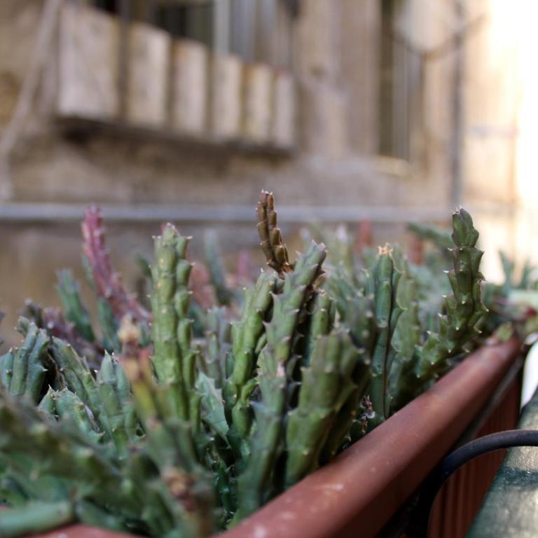 Appartamento nel cuore del Centro Storico di Palermo - One-Bedroom House - 28