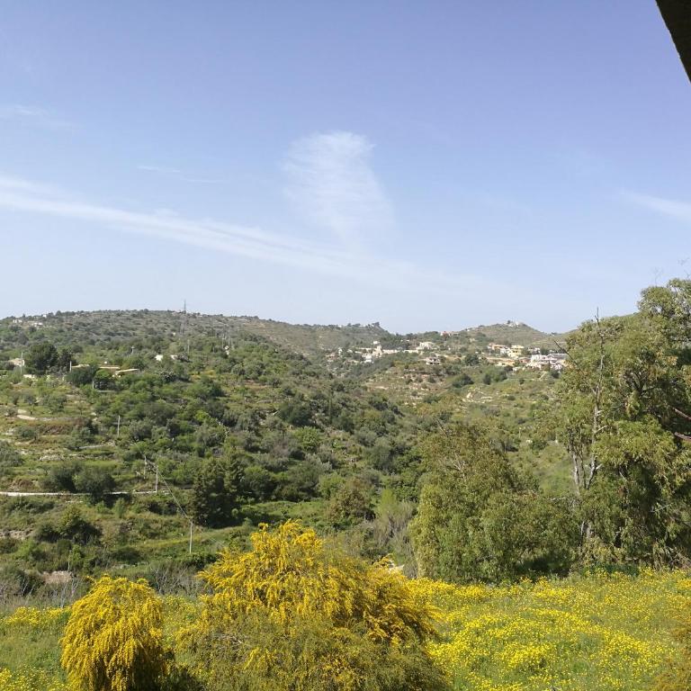 New Panoramic Apartment - Appartamento - 28