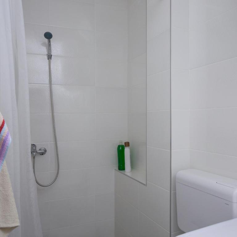 Apartment Slavija square/Clinical center of Serbia - Apartman - 4