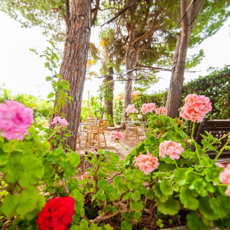 Suite House L'Isola Che Non C'è - Villa Fronte Spiaggia - 3