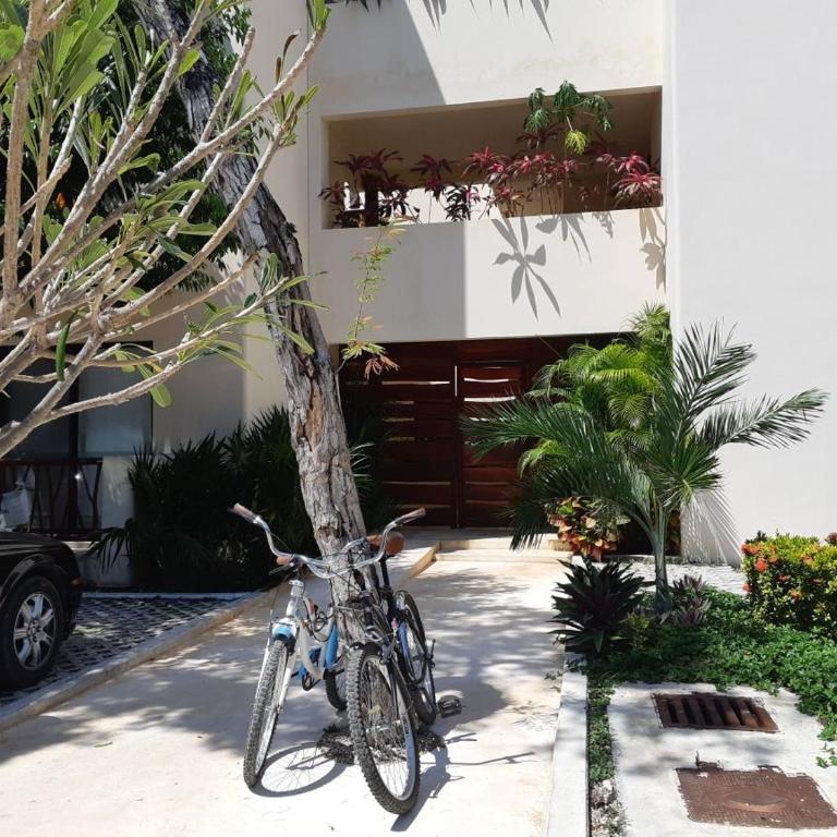 Tulum Prana - Apartamento con vistas a la piscina - 3