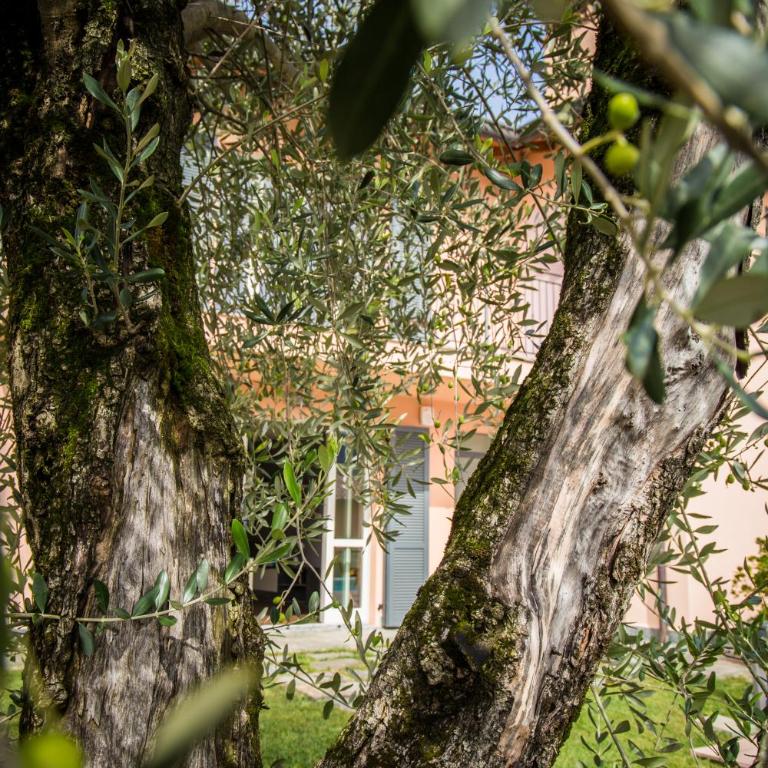 Maison Casa Lavanda - Appartamento - 44
