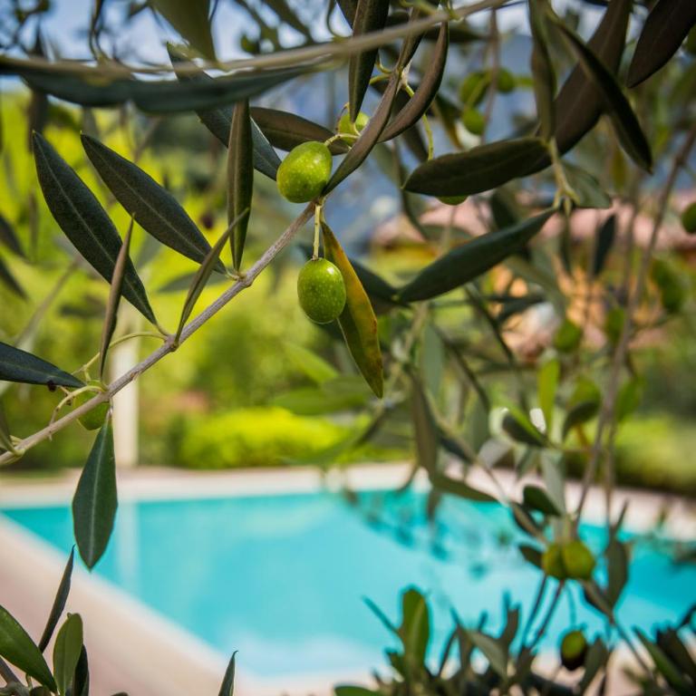 Maison Casa Lavanda - Appartamento - 2