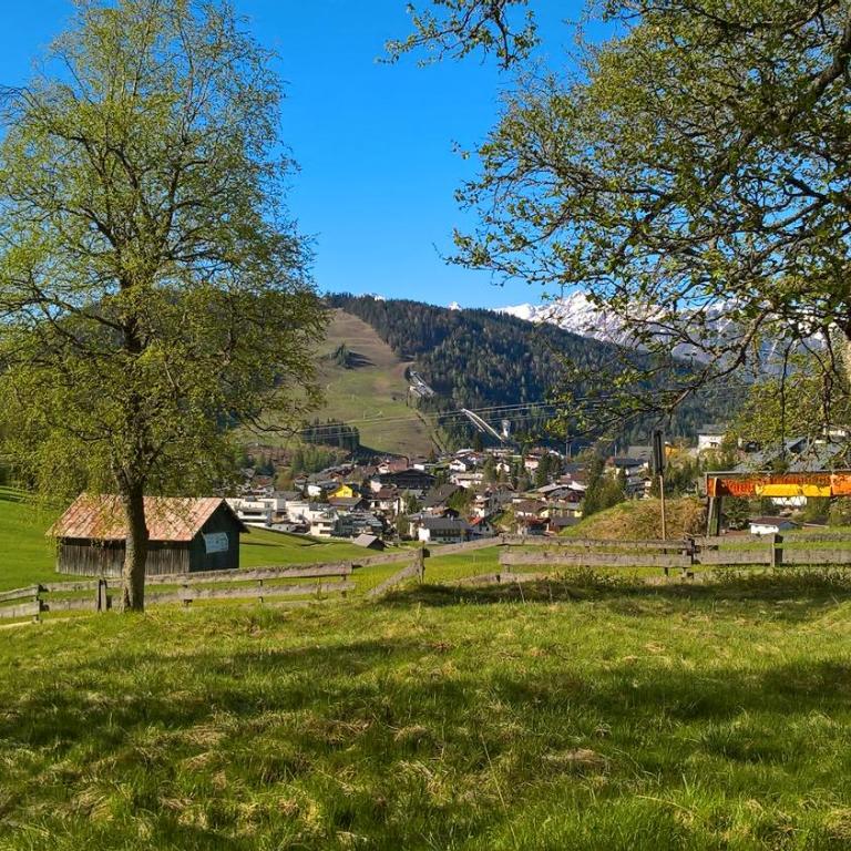 Haus Elisengrund am Geigenbuehel - chalet privé - Haus mit 4 Schlafzimmern - 28
