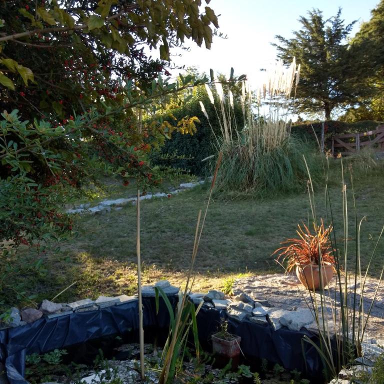 La Loma - Bungalow - 11