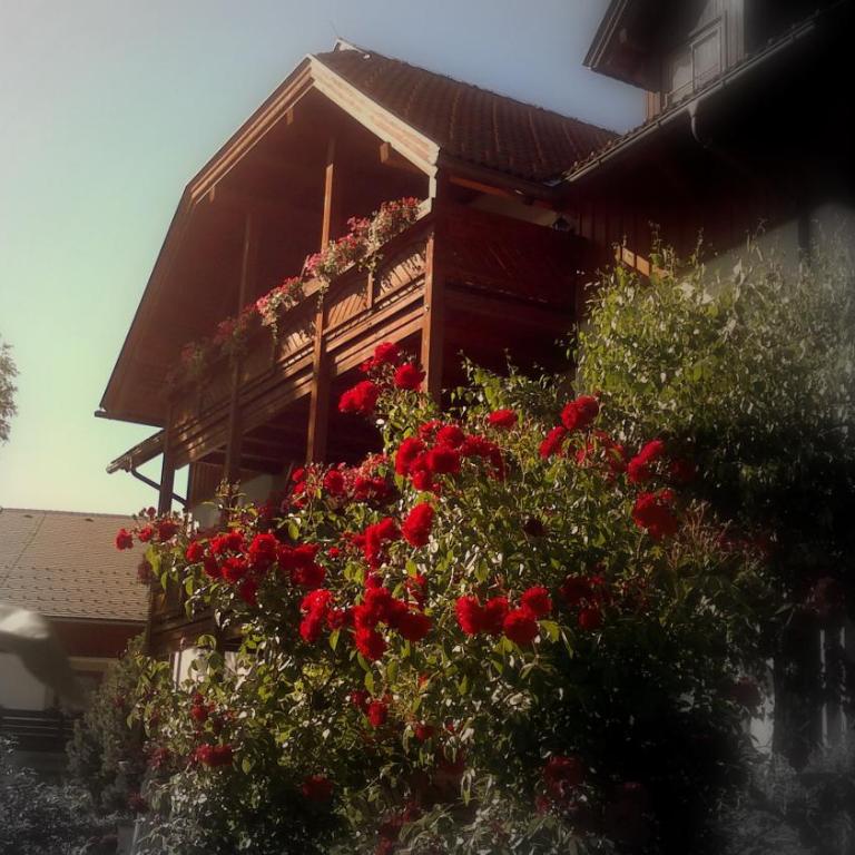 Ferienwohnungen Fischerhaus - direkt am See - Familienapartment mit Seeblick. - 1