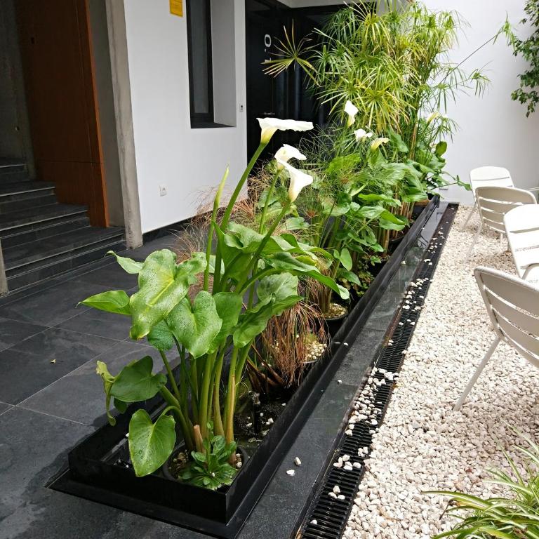 Apartamentos Córdoba Atrium - Standard Studio - 42