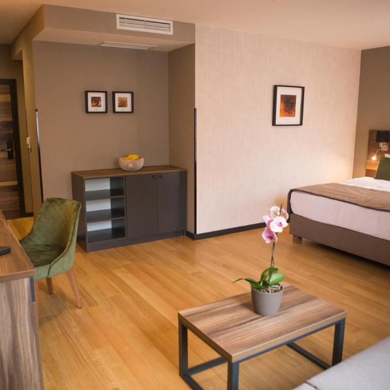 A Hoteli - Hotel Slatina - Deluks Soba - 1