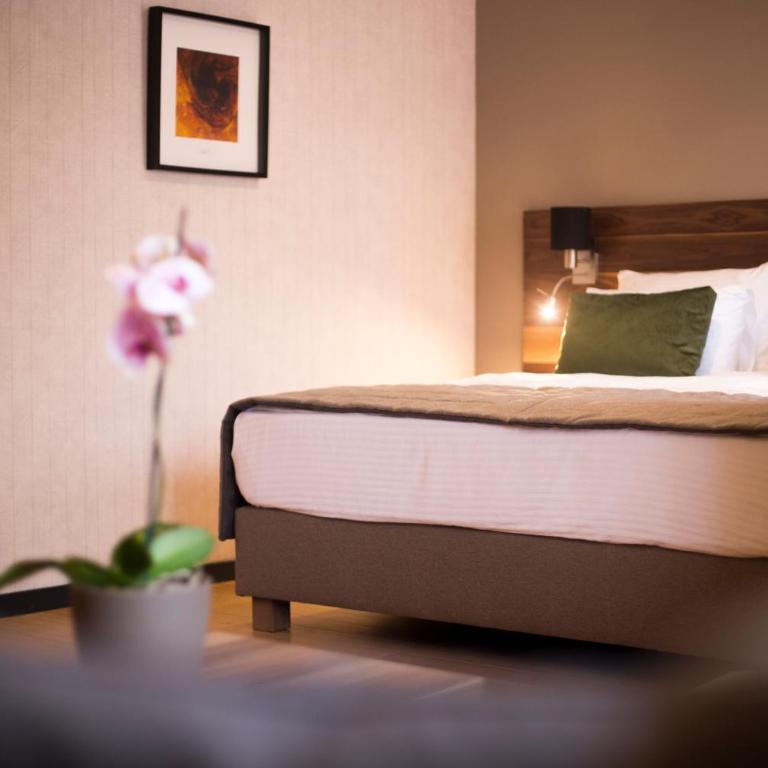 A Hoteli - Hotel Slatina - Deluks Soba - 4