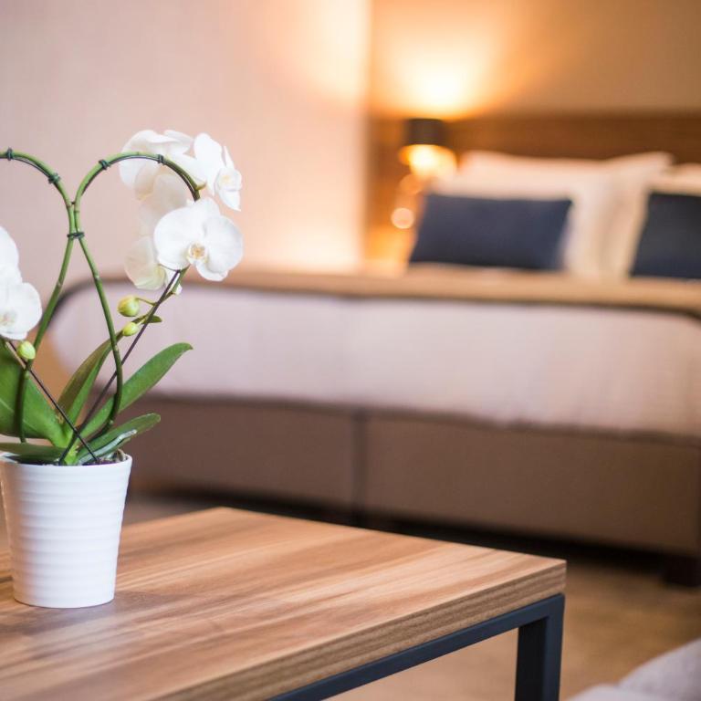 A Hoteli - Hotel Slatina - Superior Dvokrevetna Soba sa Bračnim Krevetom / 2 Zasebna Kreveta i Pogledom na Vrt - 3