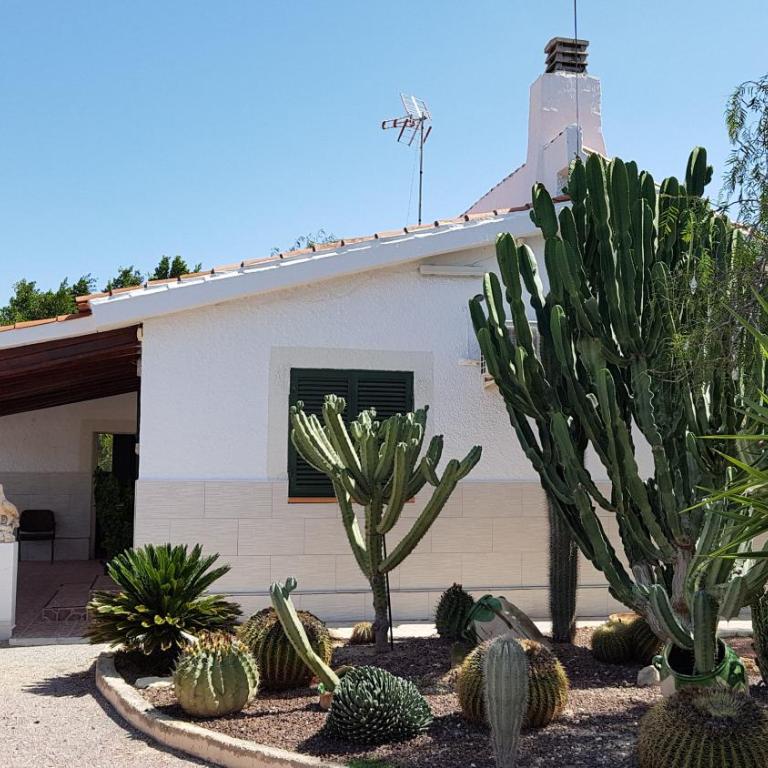 Chalet Bacarot - Four-Bedroom House - 8